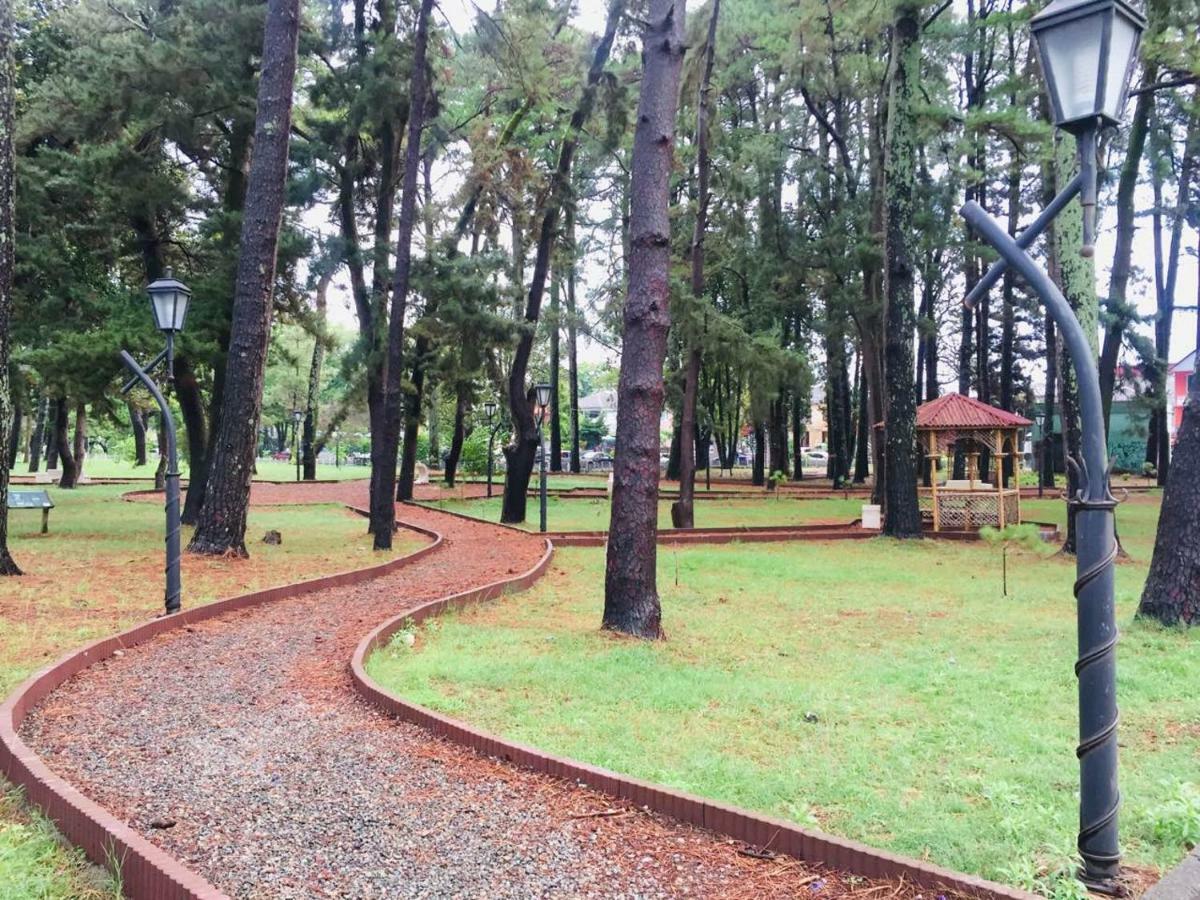 Magnolia Hotel Agmashenebeli Kobuleti Exterior photo